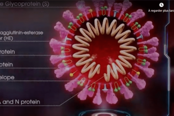 LE CORONAVIRUS expliqué par Rav Mikhael Abichid