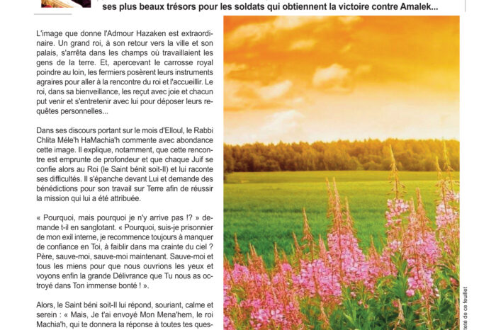 Le Roi Est Venu Dans Son Jardin !
